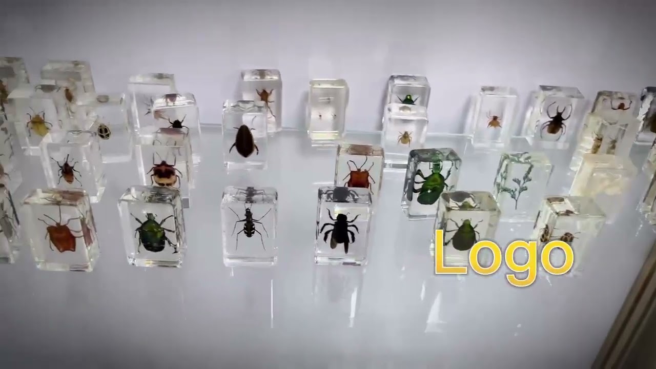 #Insect paperweight #paperweightchannel #resin #insects