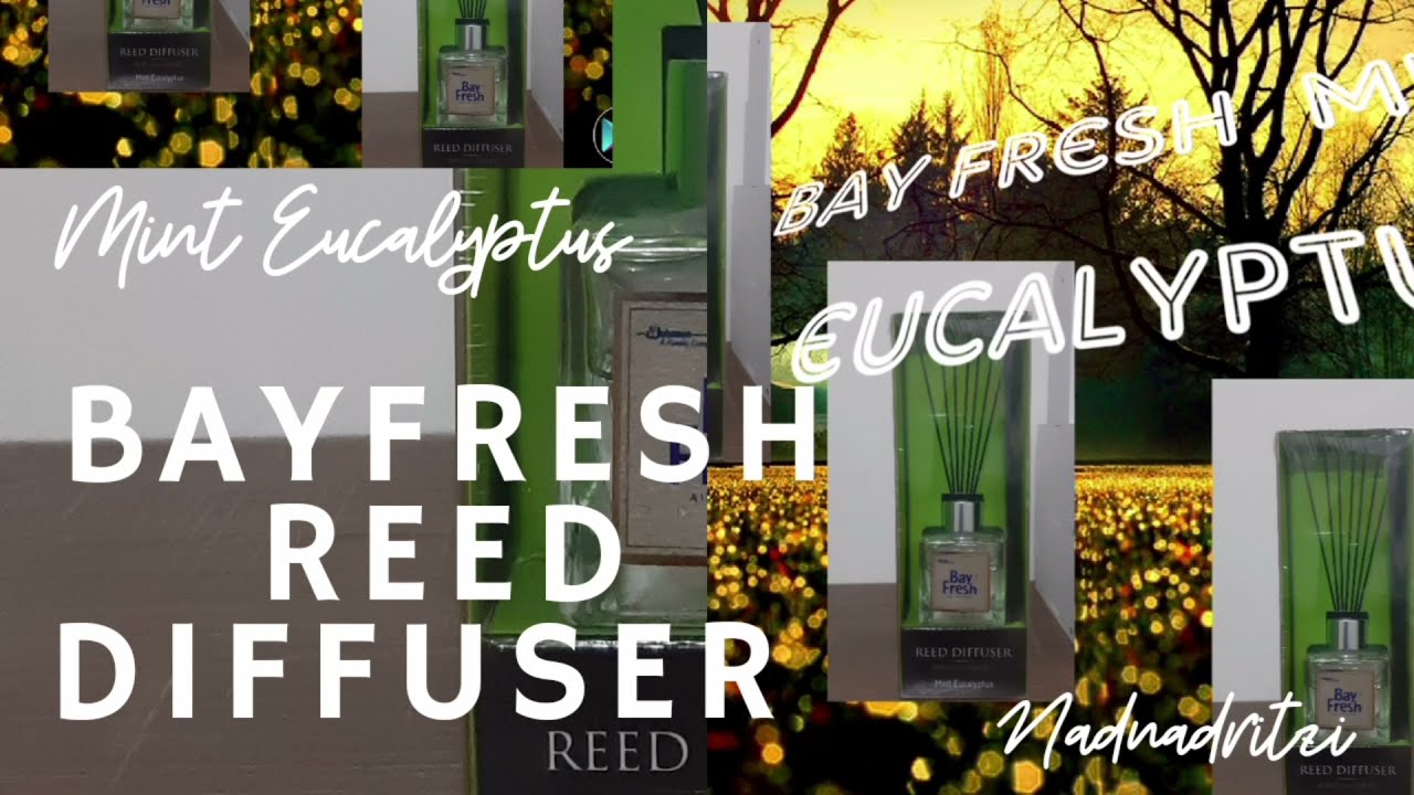 MINT EUCALYPTUS~ BAY FRESH ~ REED DIFUSER.  #REVIEW