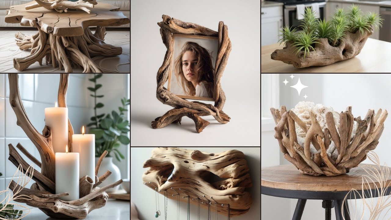 Low-Cost Driftwood Décor Ideas | Eco-Friendly Wood Pieces That Add Rustic Charm