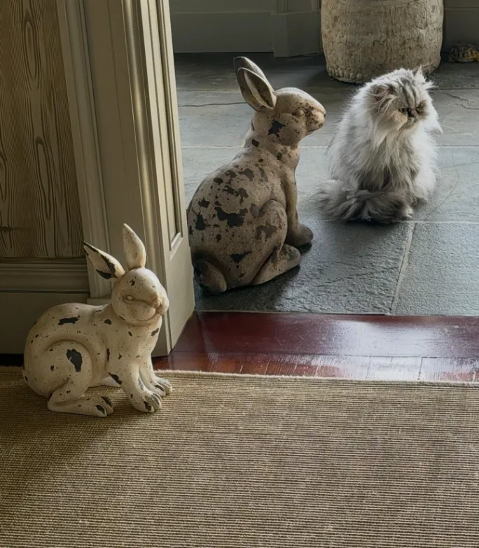 Adorable Sock Bunnies