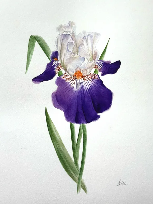 Bold Botanical Silhouettes Bold Botanical Silhouettes