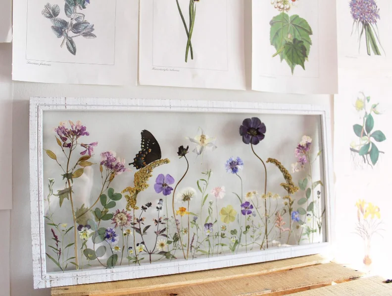 Botanical Pressed Flower Frames
