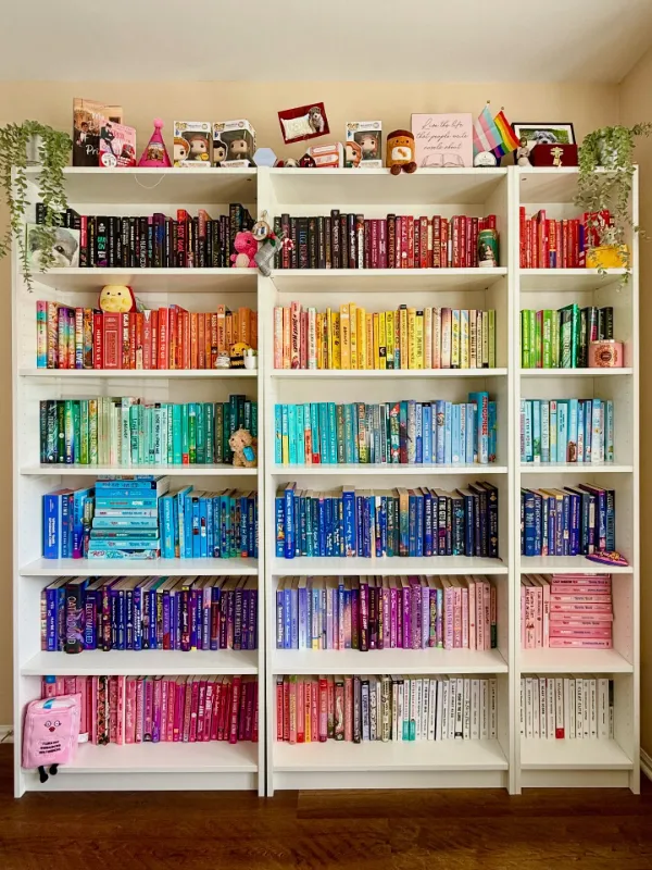 Color-Blocked Bookcase