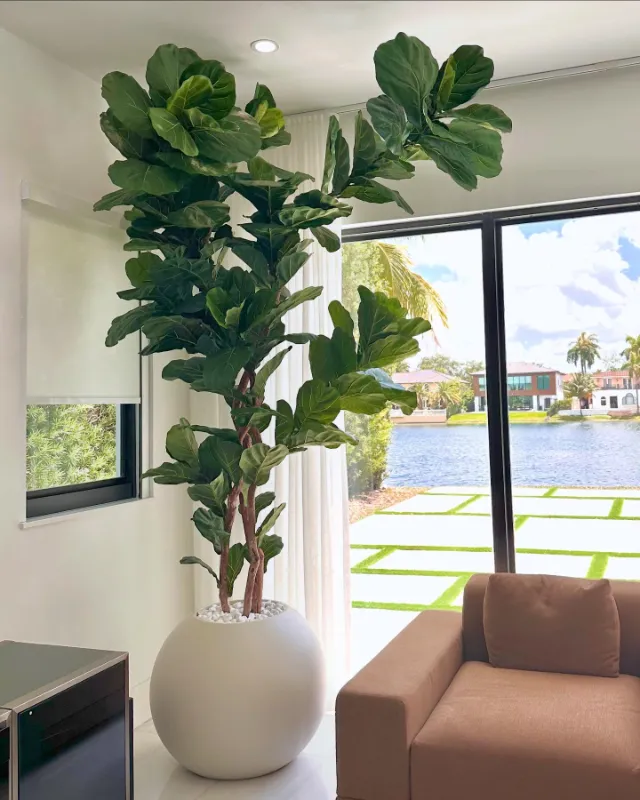 Cotton Stem Arrangement