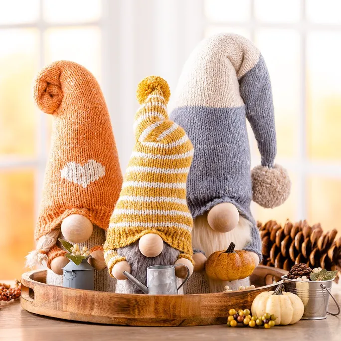 Cozy Gnome Character