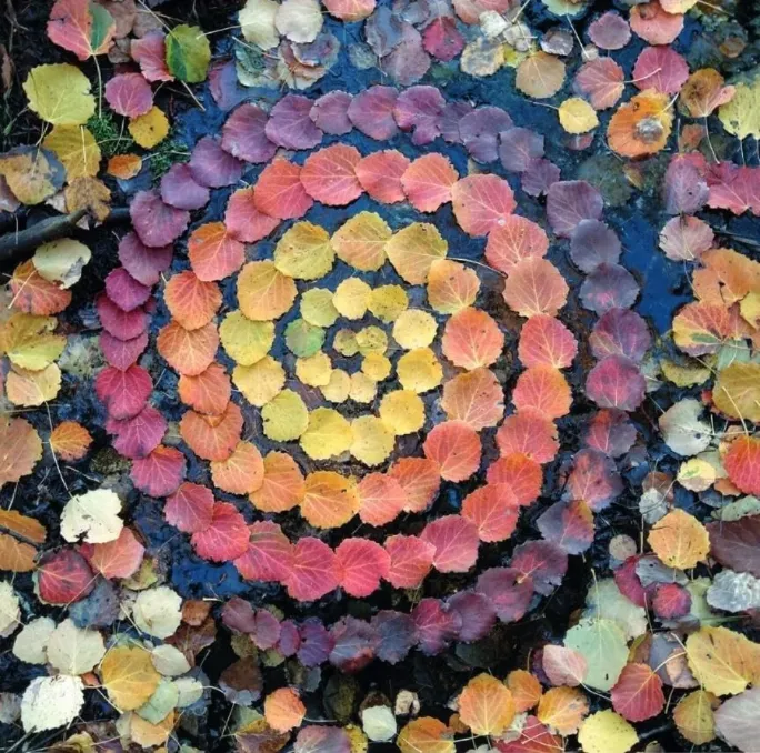 Creative Herb Spiral