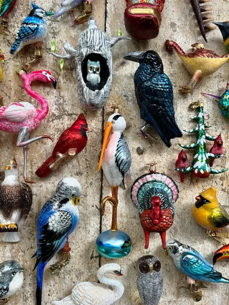 Decorative Bird Nest Display