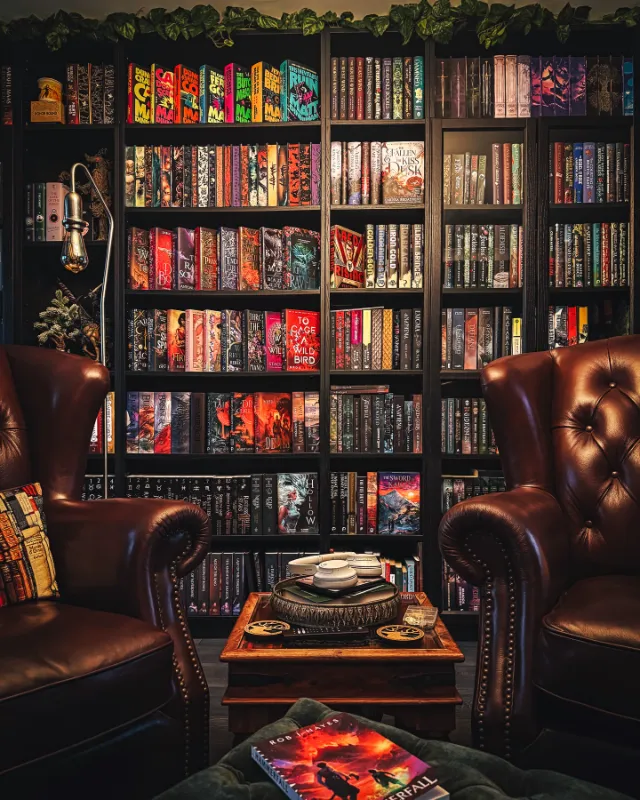 Decorative Book Bundles