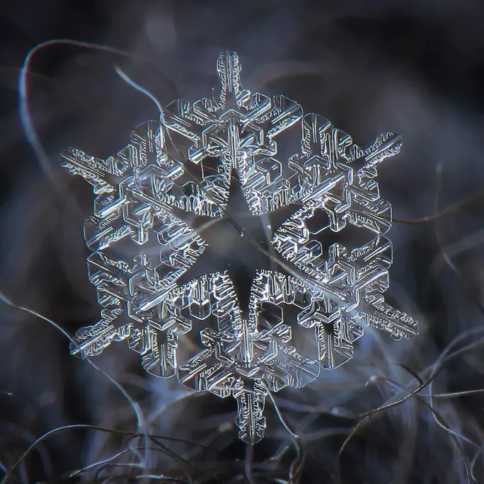 Delicate Snowflake Design