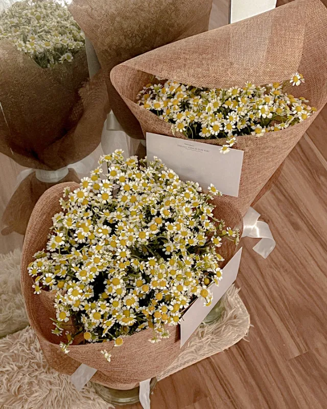 Dried Flower Arrangements