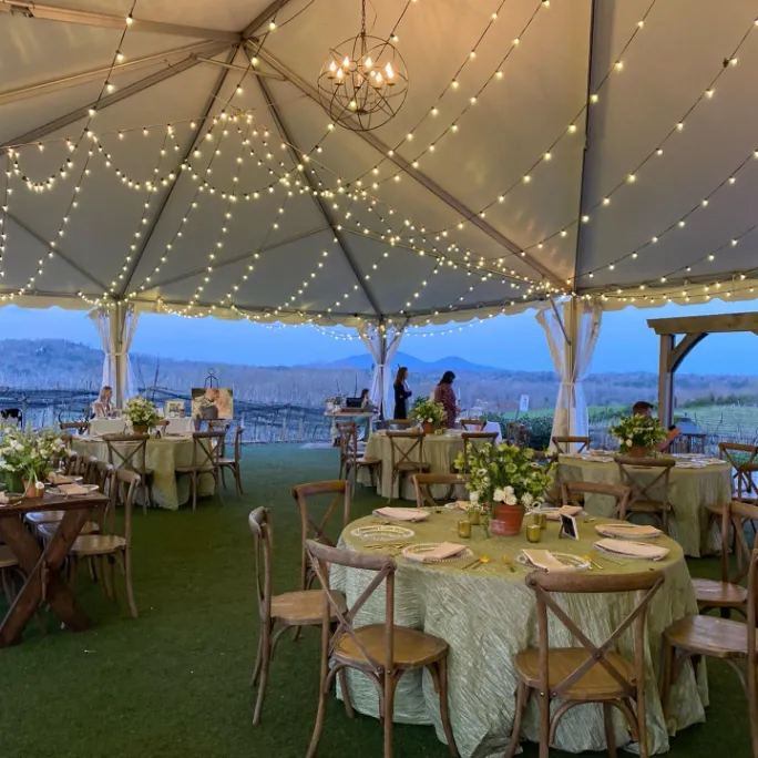 Elegant String Light Canopy