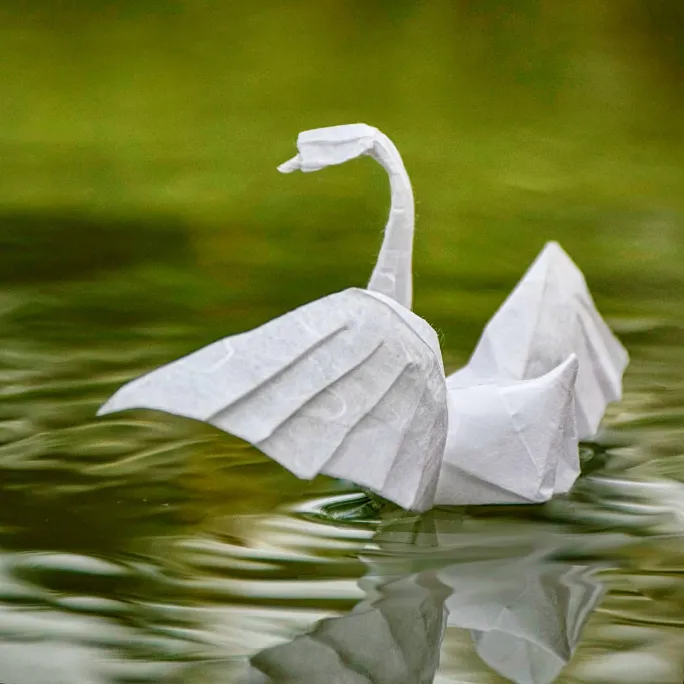 Elegant Swan Centerpiece