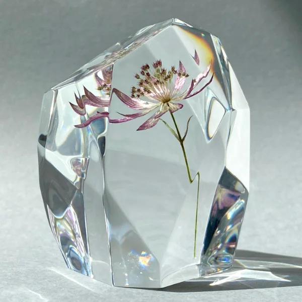 Enchanting Flower Preservation