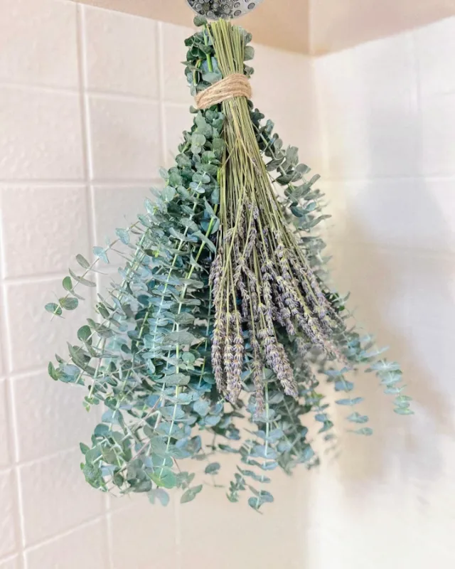 Eucalyptus Shower Bundle Eucalyptus Shower Bundle