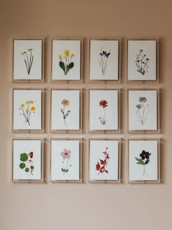 Framed Pressed Flower Collage