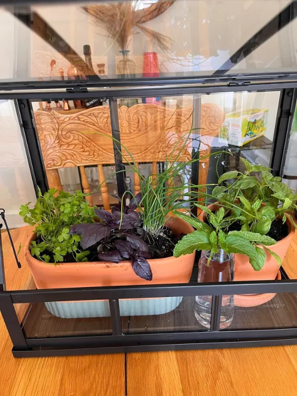 Garden Fresh Herb Medley