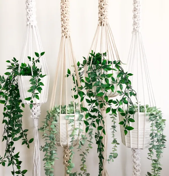 Hanging Plant Holders