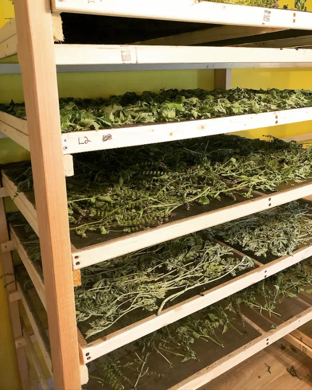 Herb Drying Rack Herb Drying Rack