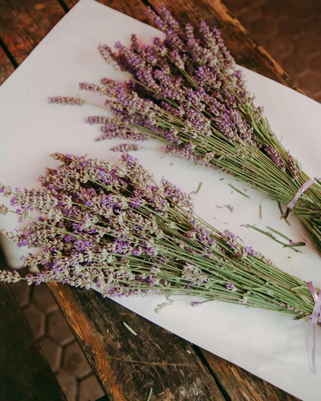 Lavender Bundle Ring