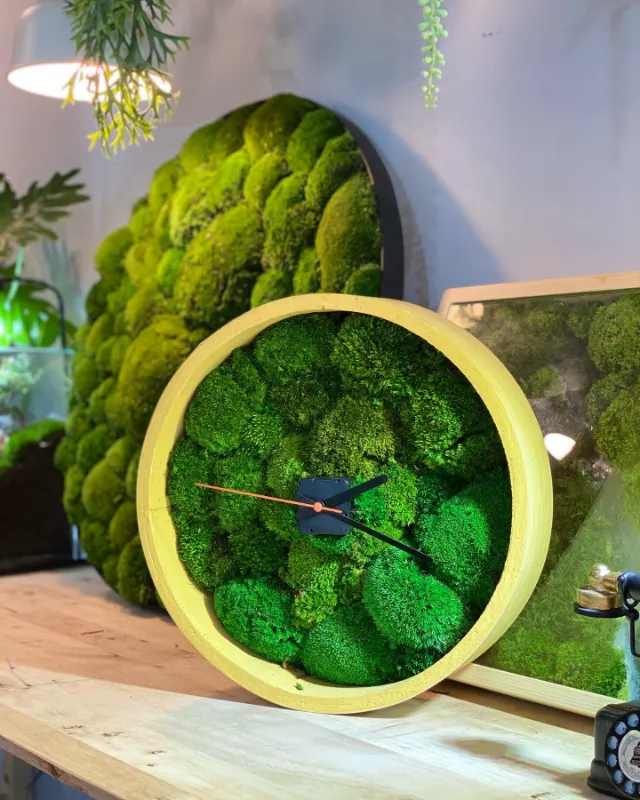 Living Moss Wall Art Living Moss Wall Art