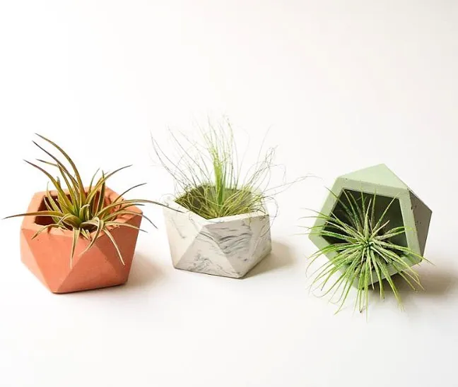 Minimalist Concrete Planters