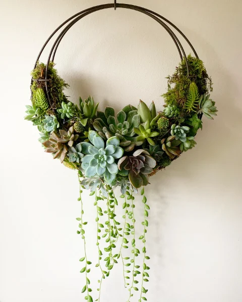 Modern Succulent Ring