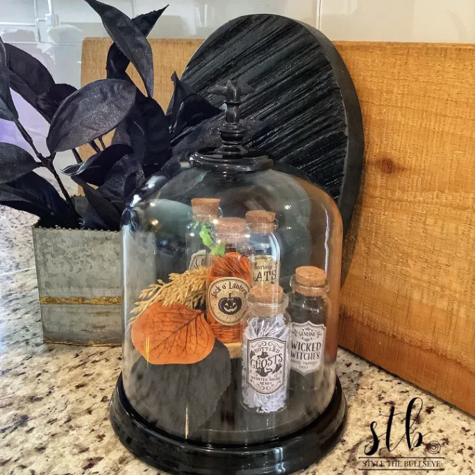 Mysterious Potion Bottle Collection