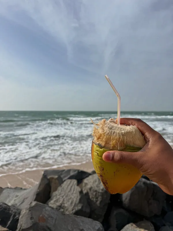 Ocean Breeze Coconut
