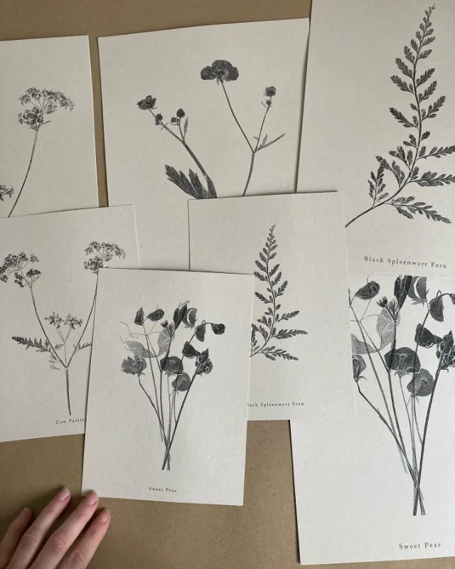 Oversized Botanical Prints