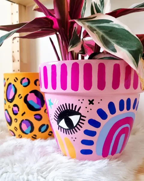 Painted Terra Cotta Pots