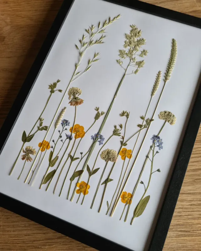 Pressed Flower Frames