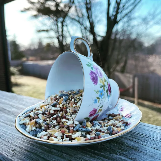 Project 8: Teacup Bird Feeders