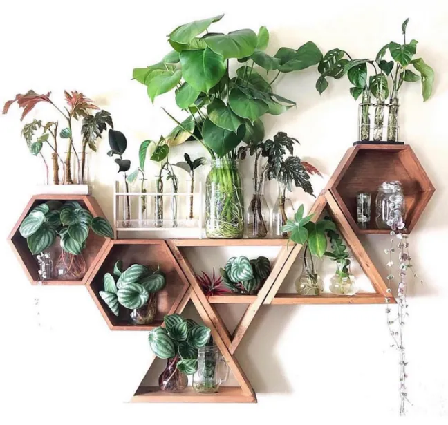 Propagation Station Propagation Station