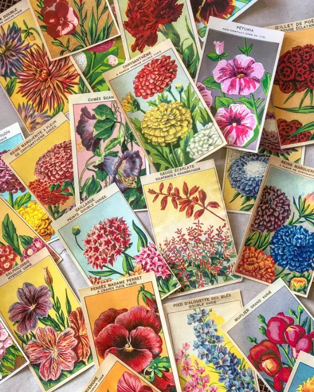 Seed Packet Wall Art Seed Packet Wall Art