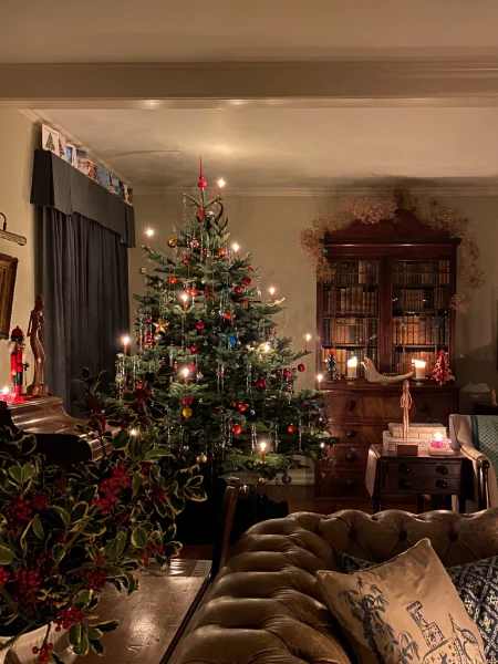 Sparkling Snowflake Ornaments