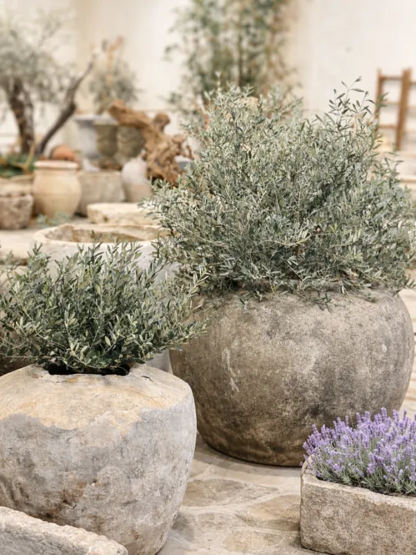 Stunning Concrete Planters