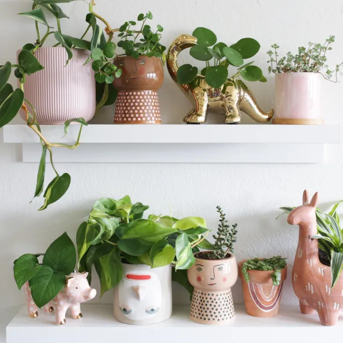 Terracotta Pot Planters
