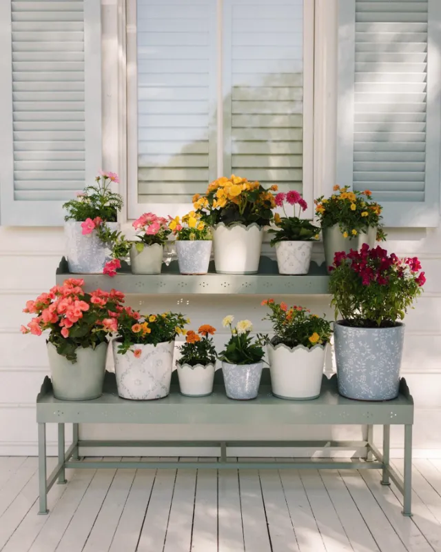 Tiered Plant Stand Display