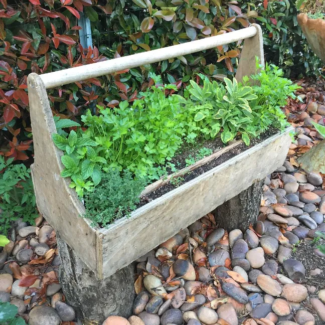 Toolbox Herb Garden Container