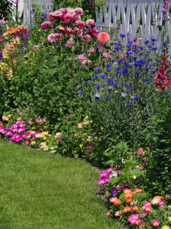 Vibrant Painted Rock Garden
