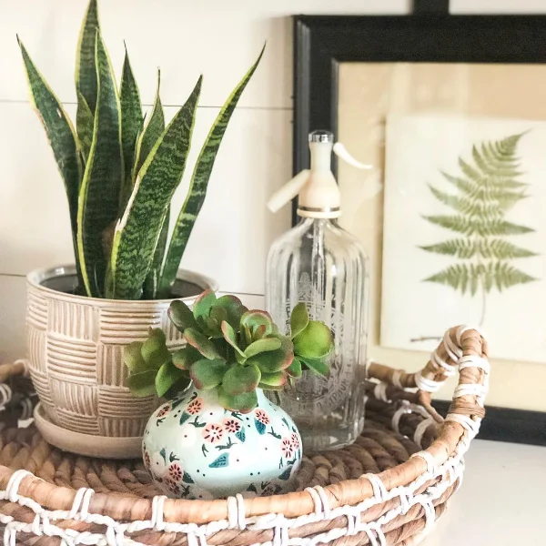 Botanical Print Combination