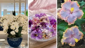15+ Creative DIY How to Make a Botanical Resin Tray With Pressed Flowers Ideas