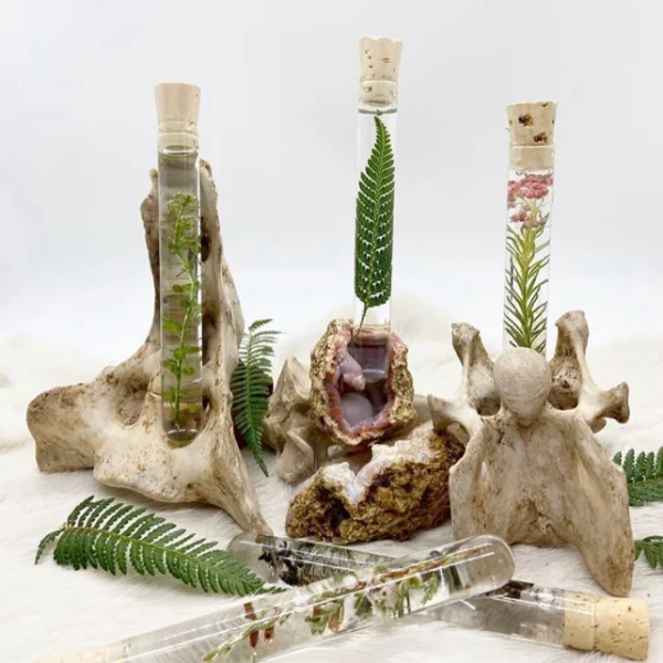 Botanical Specimen Display