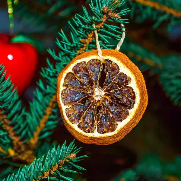 Bright Citrus Garland