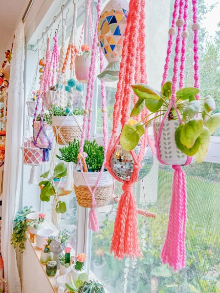 Elegant Plant Hanger Combo