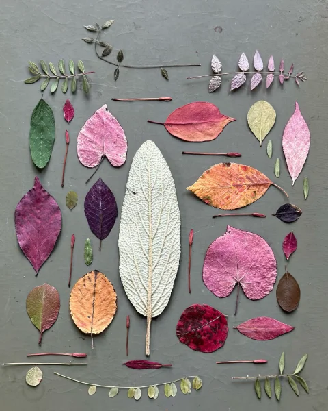 Elegant Pressed Leaf Art Elegant Pressed Leaf Art