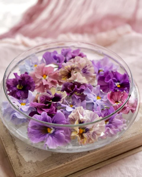 Floating Flower Suspension