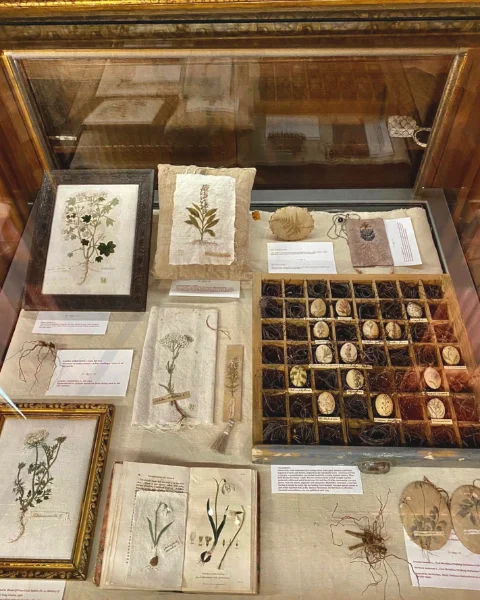 Herbarium Style Sheets