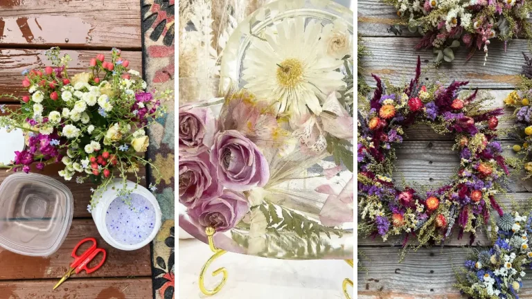 18+ Creative DIY How to Dry Flowers at Home to Preserve Them for Decor and Crafts Ideas
