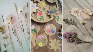 15+ Best Pressed Flower Kits for Beginners: Easy Sets That Actually Work